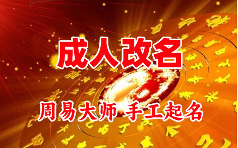 鹤岗市成人改名-找大师一对一改名先分析后改名